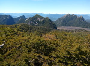 Vue depuis le sentier des cratères parasites.