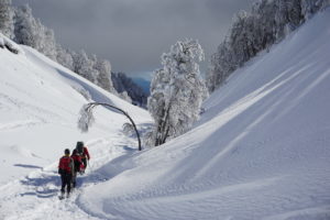 Paisaje invernal en el volcán