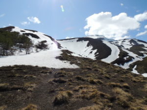 Salida del bosque