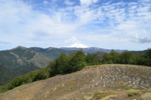 Desde la salida del bosque