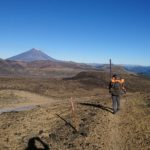 Sendero con trekkero y vista al volcán Lanin