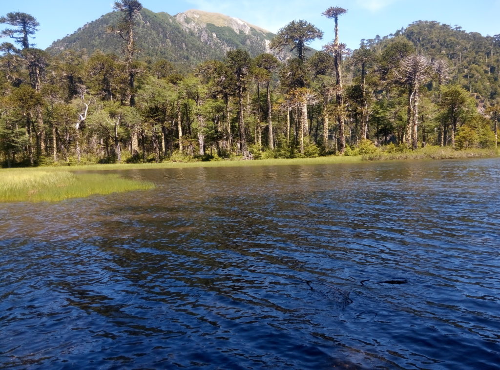 Parque Nacional Huerquehue, Ermitaño Expediciones