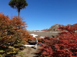 Trekking Lagunas Andinas