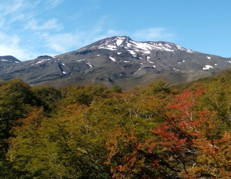 Volcán Quetrupillán y vegetación de otoño
