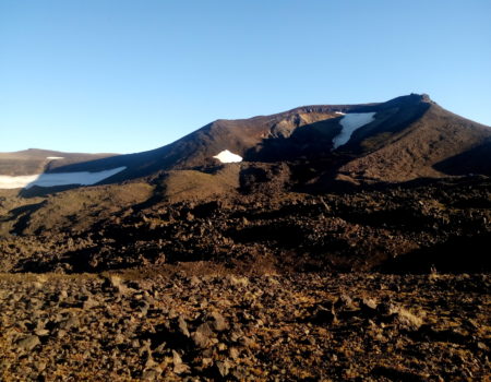 P80331-092232