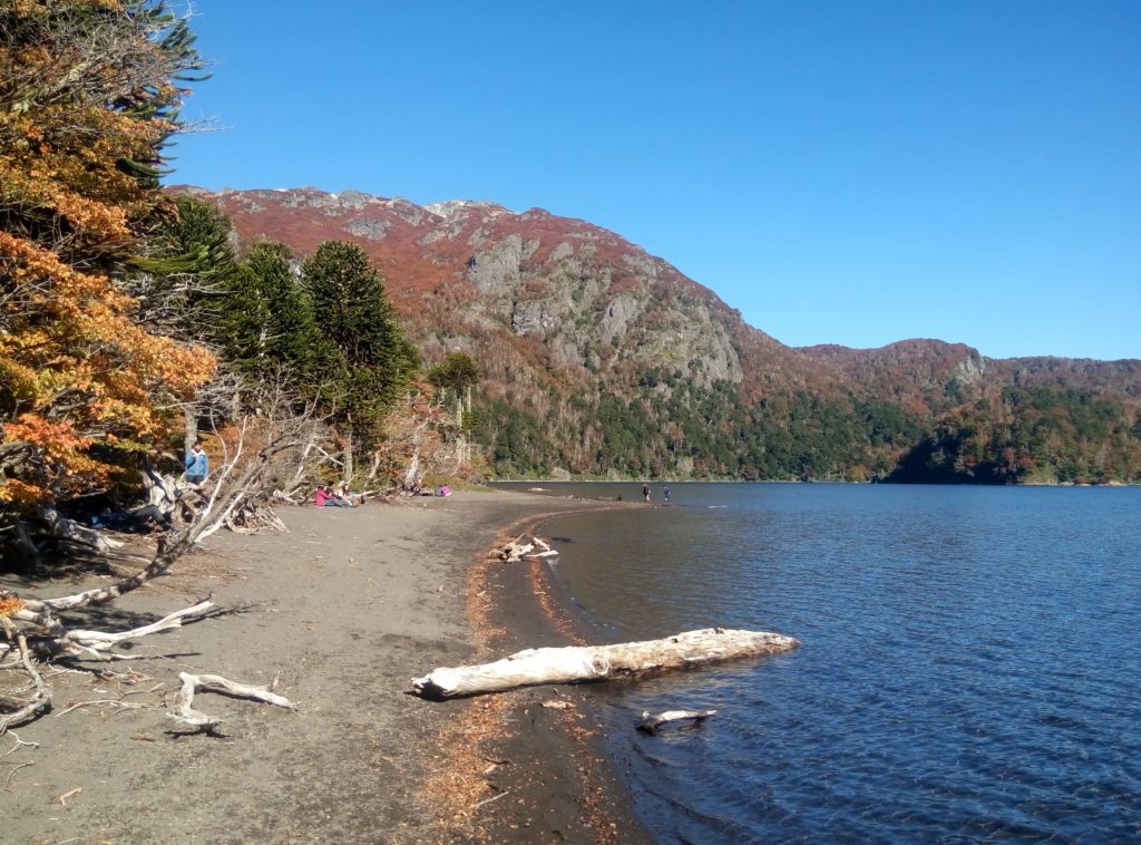 Laguna con bosque nativo