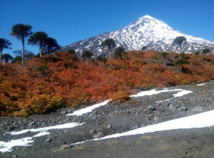 Volcán Lanin