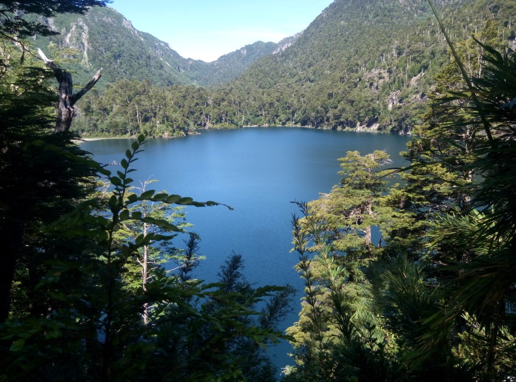 Lagune, volcan en arrière-plan et arbres endémiques du Chili