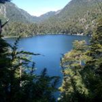 Laguna, volcán al fondo y árboles nativos de chile