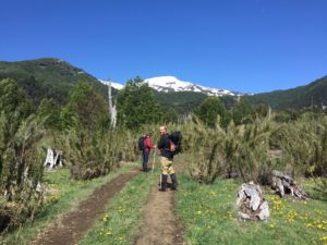 Base del volcan Quetrupillan, en primavera.