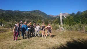 Base del volcan Quetrupillan, en primavera.