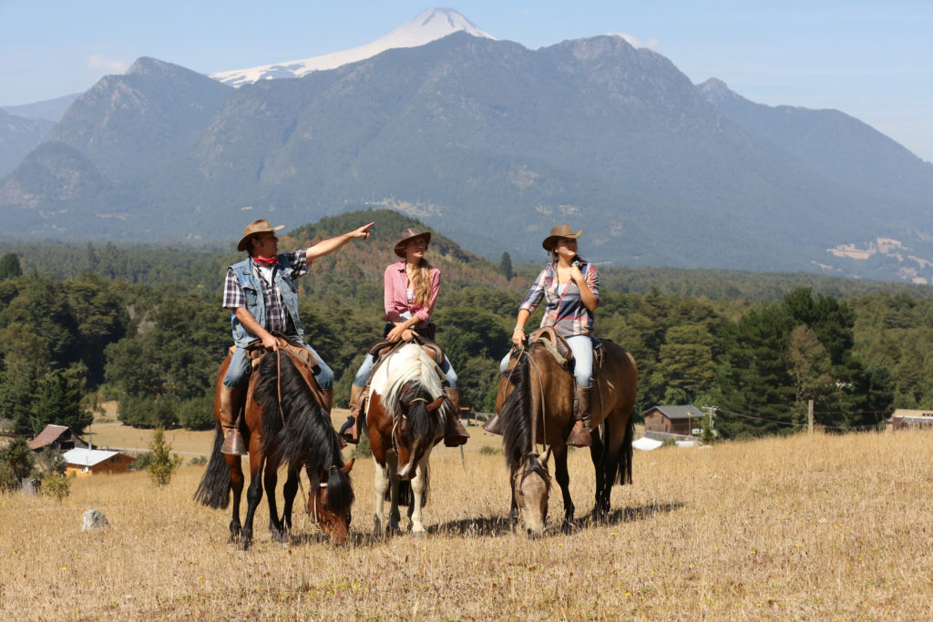 Caballos en un paísaje montañoso