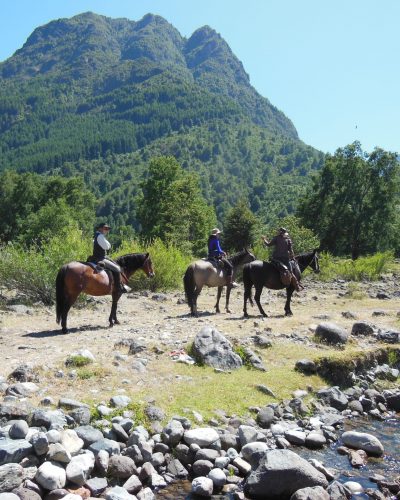 Caballos río y montañas