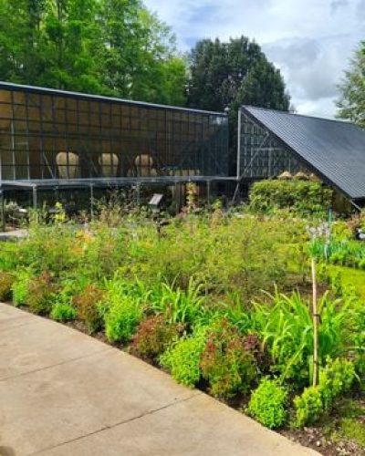 Parque Botanico - Ermitano Expediciones 3