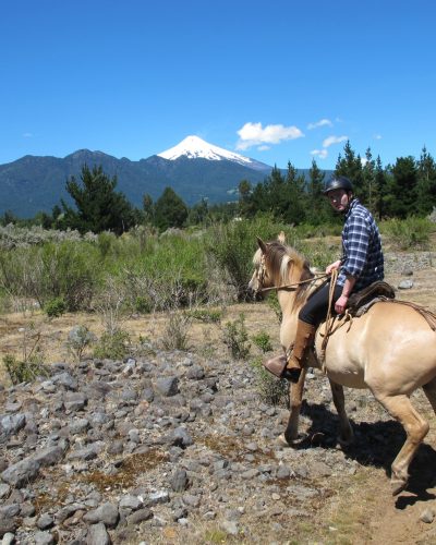 Caballo y jinete